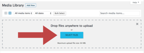 Click Select Files