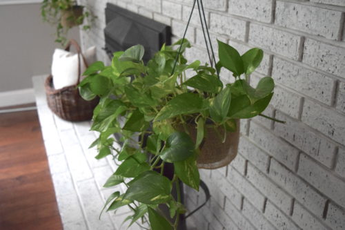 Budget-friendly fireplace mantle decor | A Brick Home