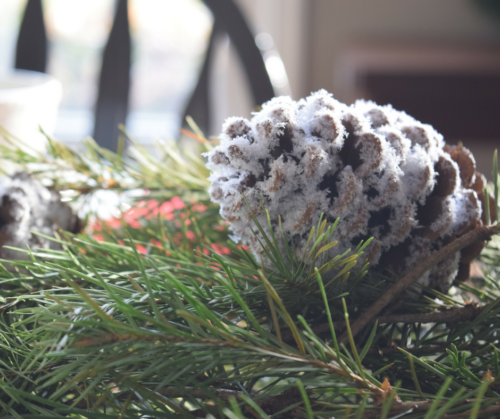 A Brick Home: DIY snow pinecones, pinecone crafts, diy pinecone crafts, diy pinecone crafts christmas, christmas crafts