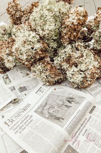 WOAH! This is so beautiful. Learn how to make a budget-friendly DIY fall wreath using hydrangeas from your yard! #diyfallwreath #diywreath