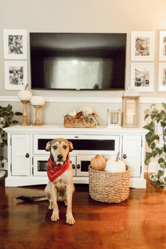 Obsessing over these gorgeous ideas for Thanksgiving decorations!! #thanksgivingdecorations