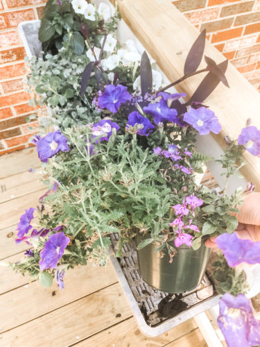 Gorgeous window box flowers that love sun! Get the combination of these flowers so you can recreate the look! #windowbox #windowboxflowers #sunflowers