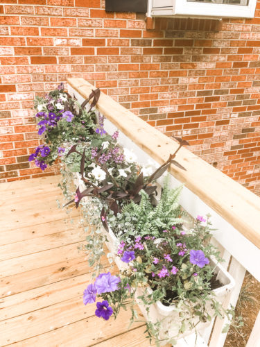 Gorgeous window box flowers that love sun! Get the combination of these flowers so you can recreate the look! #windowbox #windowboxflowers #sunflowers