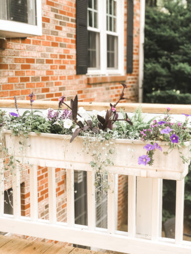 Gorgeous window box flowers that love sun! Get the combination of these flowers so you can recreate the look! #windowbox #windowboxflowers #sunflowers