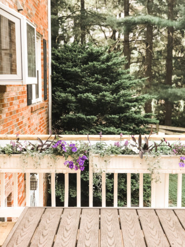 Gorgeous window box flowers that love sun! Get the combination of these flowers so you can recreate the look! #windowbox #windowboxflowers #sunflowers