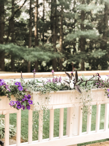 Gorgeous window box flowers that love sun! Get the combination of these flowers so you can recreate the look! #windowbox #windowboxflowers #sunflowers