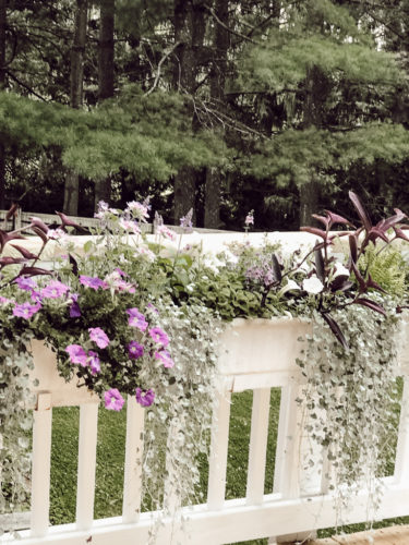 Gorgeous window box flowers that love sun! Get the combination of these flowers so you can recreate the look! #windowbox #windowboxflowers #sunflowers