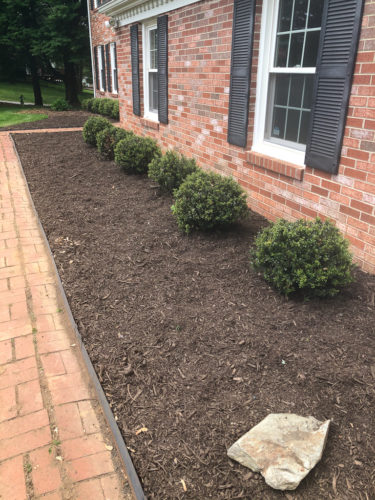 How to Edge a Flower Bed