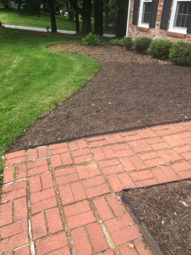 How to Edge a Flower Bed