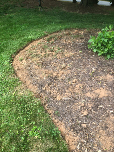 How to Edge a Flower Bed