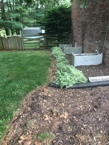 How to Edge a Flower Bed