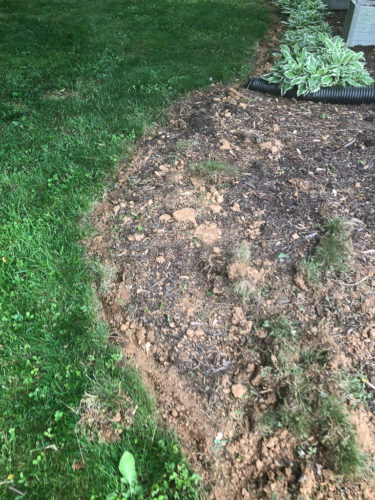 How to Edge a Flower Bed