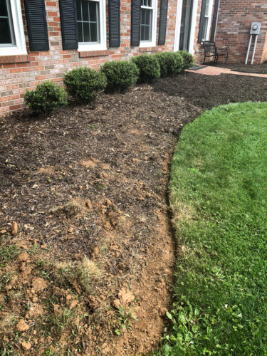 How to Edge a Flower Bed