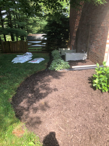 How to Edge a Flower Bed