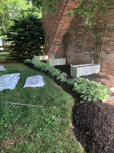 How to Edge a Flower Bed