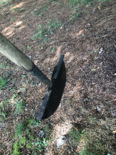 How to Edge a Flower Bed