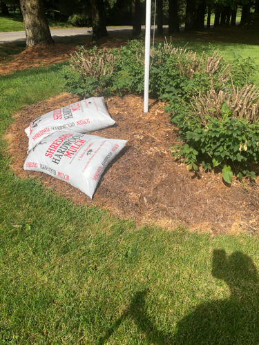 How to Edge a Flower Bed