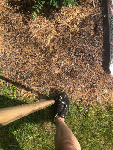 How to Edge a Flower Bed