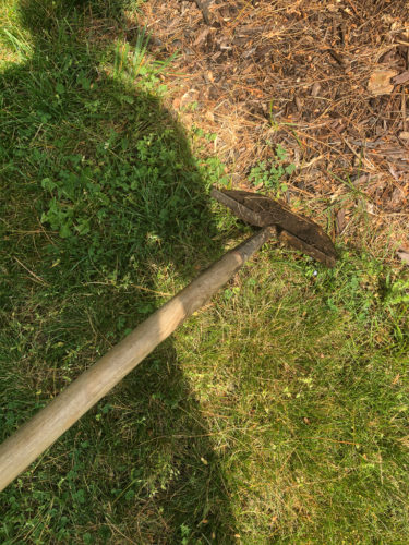 How to Edge a Flower Bed