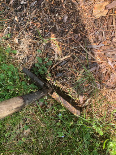 How to Edge a Flower Bed