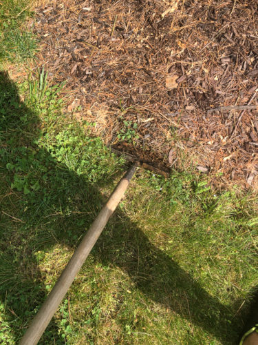 How to Edge a Flower Bed