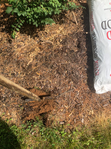 How to Edge a Flower Bed
