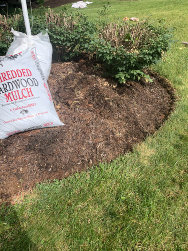 How to Edge a Flower Bed