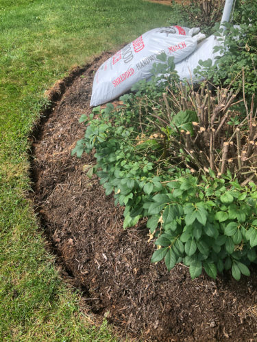 How to Edge a Flower Bed