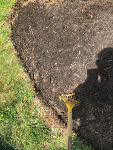 How to Edge a Flower Bed