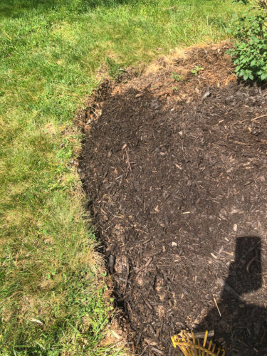 How to Edge a Flower Bed