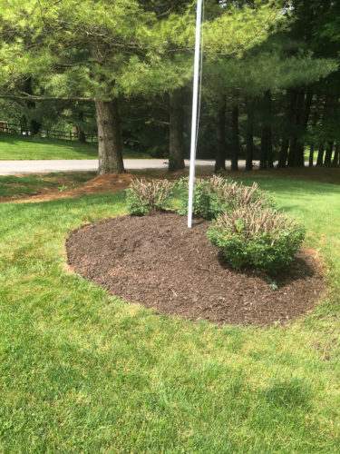 How to Edge a Flower Bed