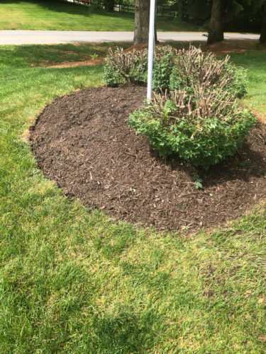 How to Edge a Flower Bed
