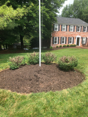 How to Edge a Flower Bed