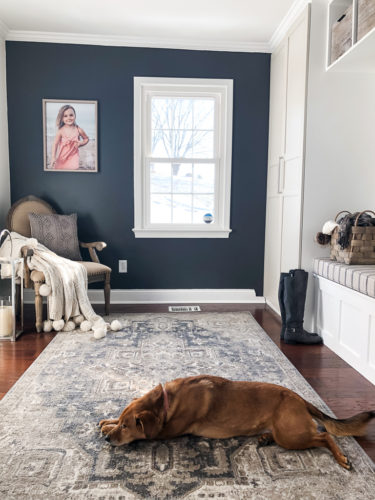Gorgeous area rugs for every room!