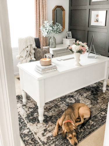 Gorgeous area rugs for every room!