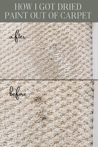 Marly used these two methods to get dried paint out of carpet! See how she was able to get her carpet looking clean again.
