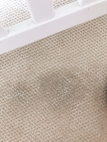 Marly used these two methods to get dried paint out of carpet! See how she was able to get her carpet looking clean again.