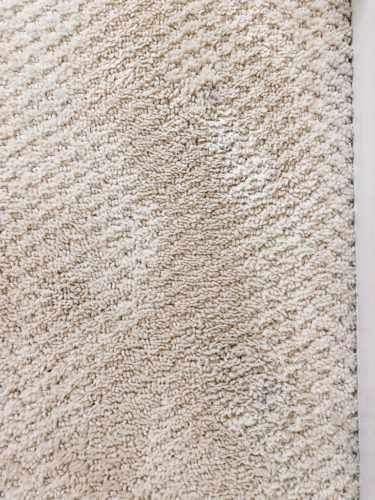Marly used these two methods to get dried paint out of carpet! See how she was able to get her carpet looking clean again.