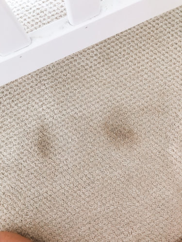 Marly used these two methods to get dried paint out of carpet! See how she was able to get her carpet looking clean again.