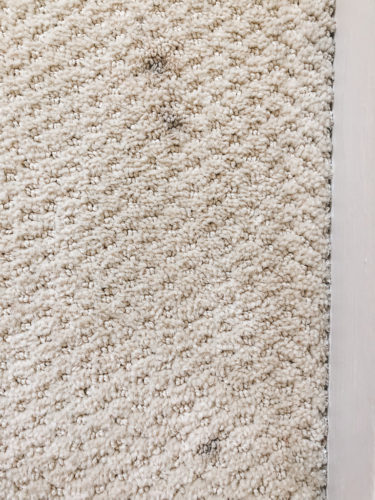 Marly used these two methods to get dried paint out of carpet! See how she was able to get her carpet looking clean again.