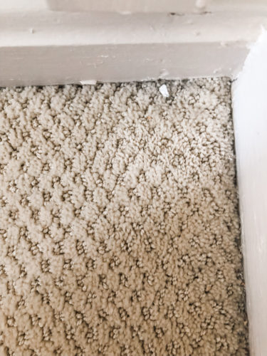 Marly used these two methods to get dried paint out of carpet! See how she was able to get her carpet looking clean again.