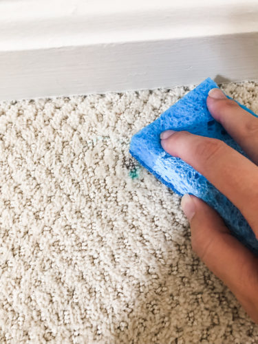 Marly used these two methods to get dried paint out of carpet! See how she was able to get her carpet looking clean again.