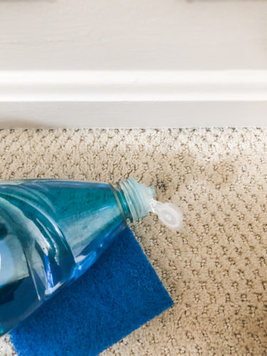 Marly used these two methods to get dried paint out of carpet! See how she was able to get her carpet looking clean again.