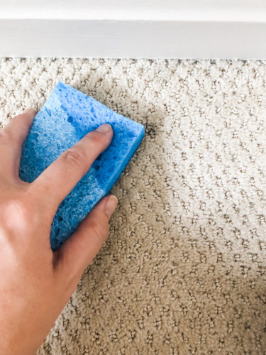 Marly used these two methods to get dried paint out of carpet! See how she was able to get her carpet looking clean again.