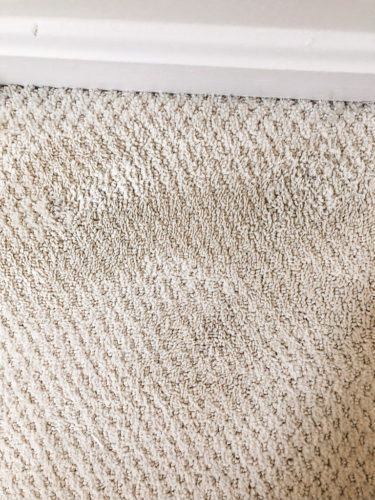Marly used these two methods to get dried paint out of carpet! See how she was able to get her carpet looking clean again.
