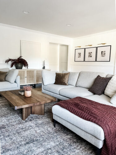 Family friendly living room ideas that are comfy cozy and beautiful!